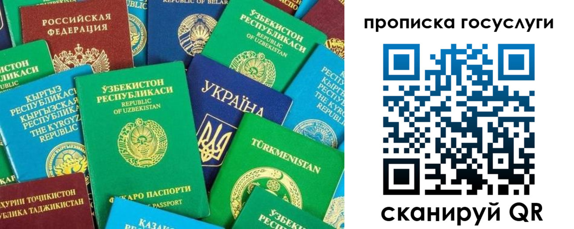 временная регистрация для всех в Мытищах
